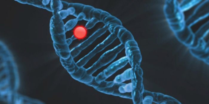 New Study Links Gene Mutations that Increase Breast Cancer Risk to Additional Cancers