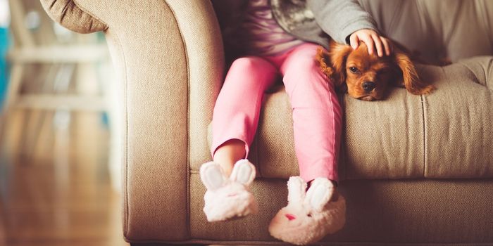 How Dog Years Translate to Human Years