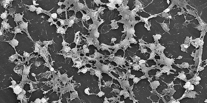 Biofilm Research Tool, Molecular Chameleons, Created