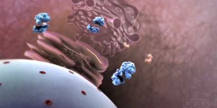 Flu Attack! How A Virus Invades Your Body