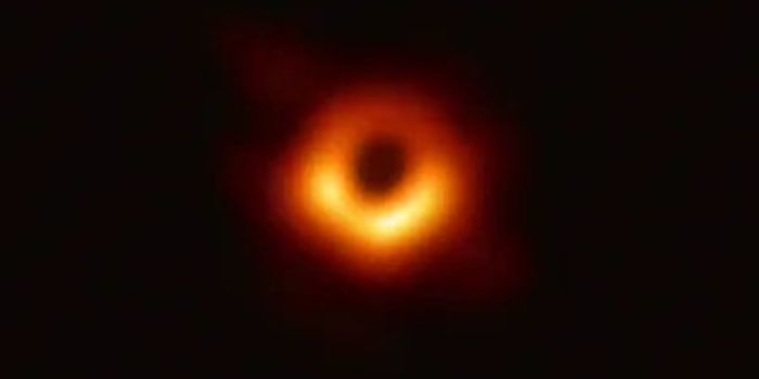 Racing to a Black Hole at Light Speed