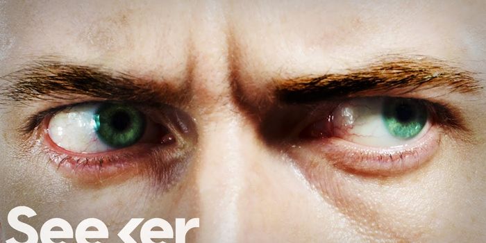 Jealousy Can Alter the Brain