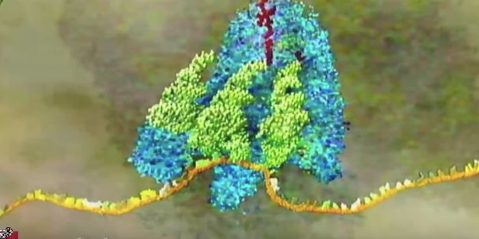 An Inhalable Form of Messenger RNA Might be a New Kind of Therapeutic