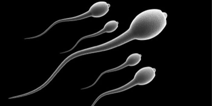 Reversible, Non-Hormonal Male Birth Control Pill on the Horizon?