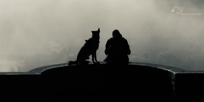 Dogs Detects PTSD Arousal from Human Breath with 81% Accuracy