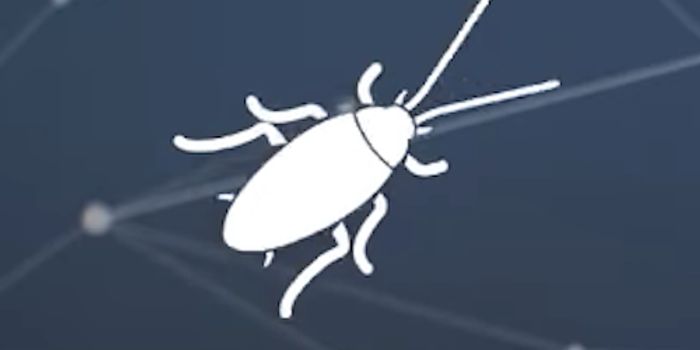 What the Cockroach Genome can Teach us