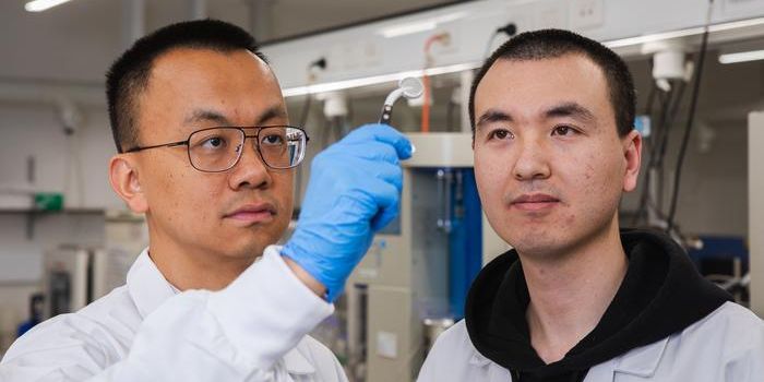 Aqueous Metal-Ion Batteries: The Future of Safe and Sustainable Energy Storage