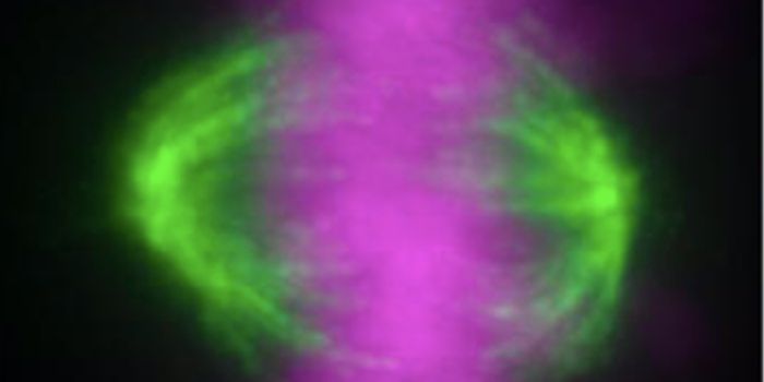 A Pair of Genomes is Best