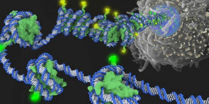 Epigenetics & Cancer: DNA Modification Impacts