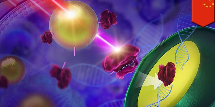 Controlling Gene Expression with Light