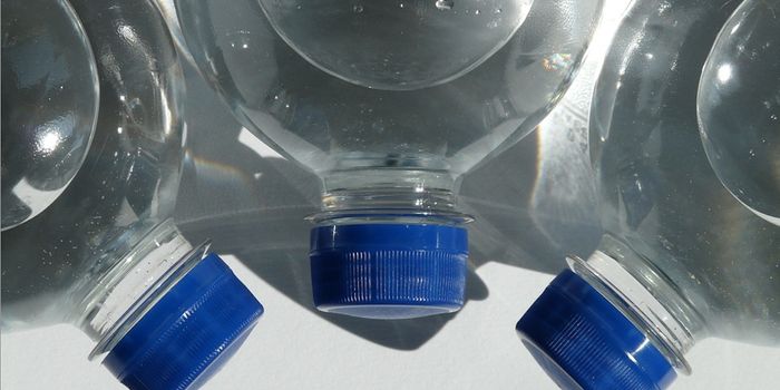 Low-Level Chemical Exposure Causes Heritable Changes in Fish