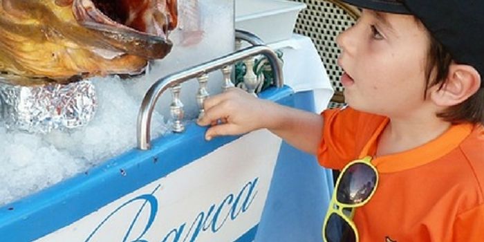 Can Eating Fish Make Children Smarter?