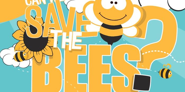 Can We Save the Bees?