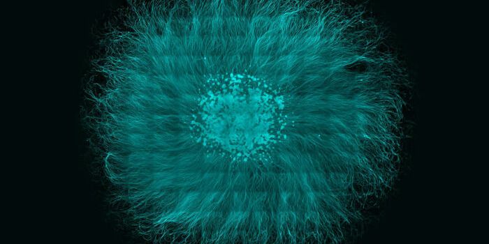 Scientist found genes to promote spinal cord regeneration