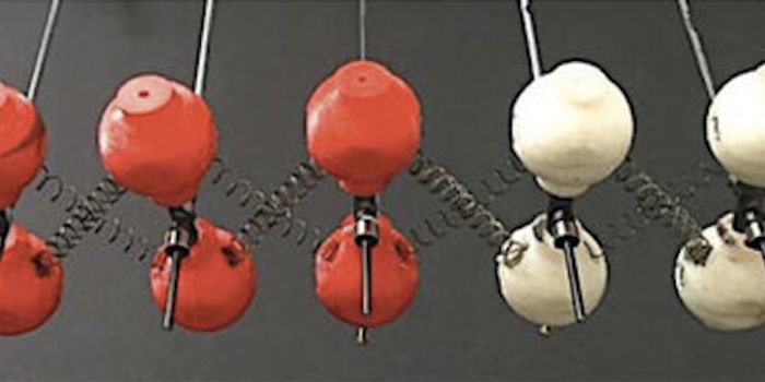 Investigating the Physics of Biological Cells to Create new Materials