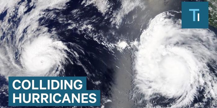 The Science Behind the Fujiwhara Effect