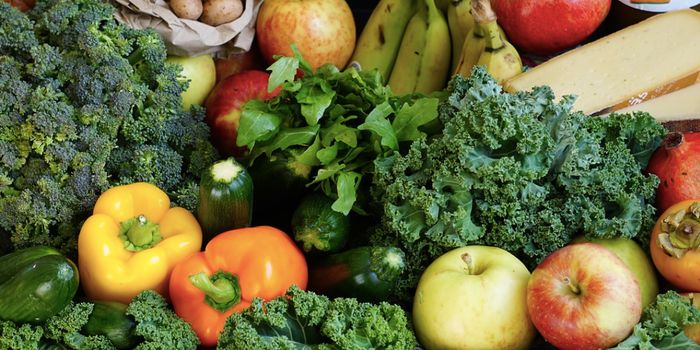 Benefits of Plant-Based Diets Demonstrated in Long-Term Study