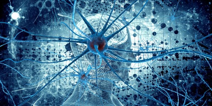 Inhibiting the Autoimmune Response to Treat Multiple Sclerosis