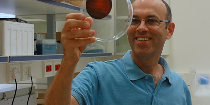 Harvard Scientists Capture Microbial Evolution in Video