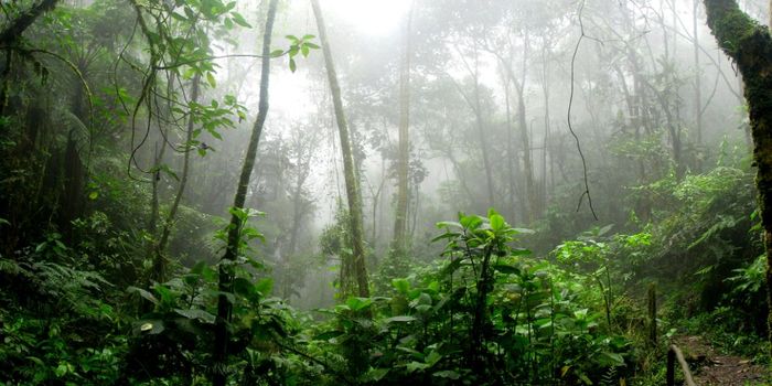 Wildlife Tagging Affects Animal Behavior for up to 7 Days