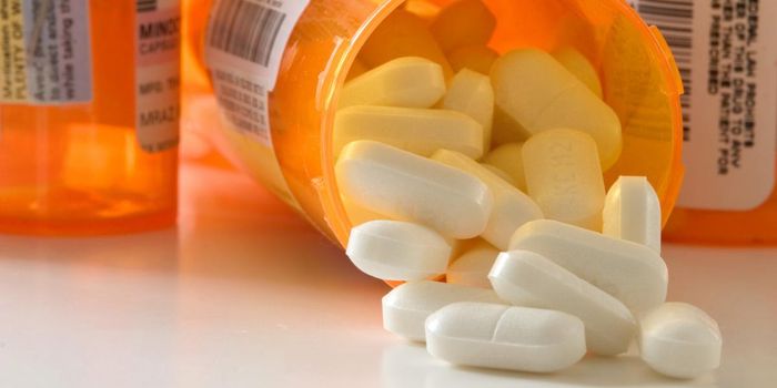 Treatment Intended for Osteoarthritis, Decreases Opioid Dependence