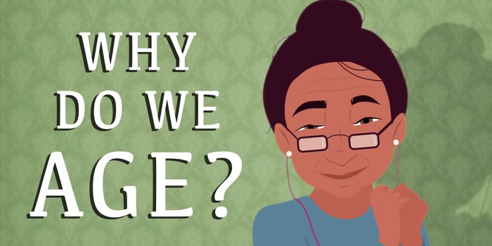 What Does it Mean to Grow Old?