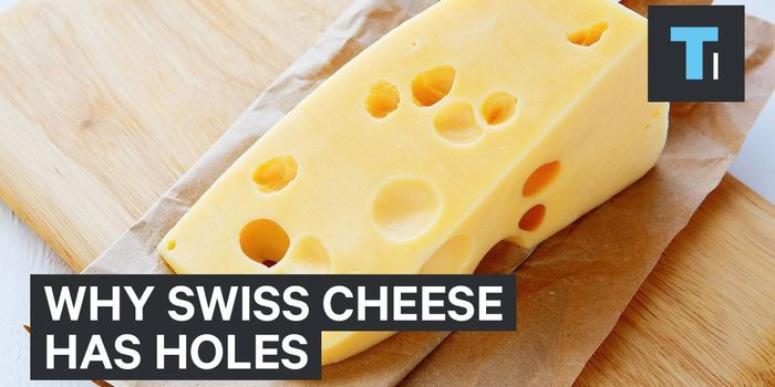 Ever Wonder Why Some Cheeses Have Holes?
