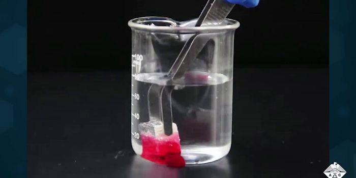 Oil Absorbing Sponge Made from Wood