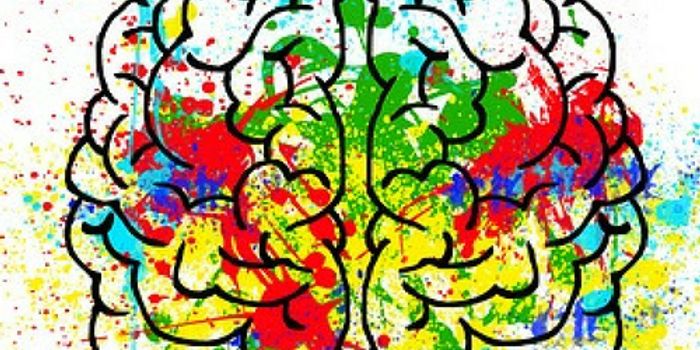 What is Neurodiversity?
