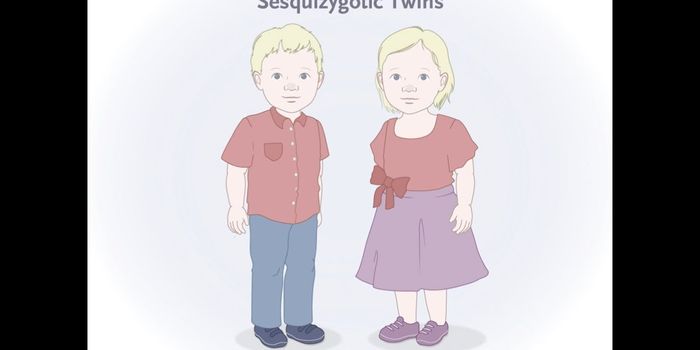 What Are Sesquizygotic Twins?