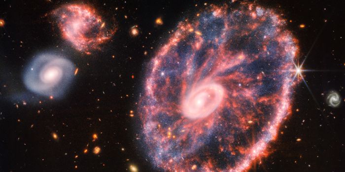 JWST Captures the Cartwheel Galaxy in Detail