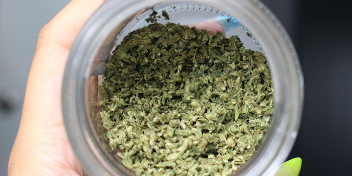 What Are HHC And HHC-O Cannabinoids?