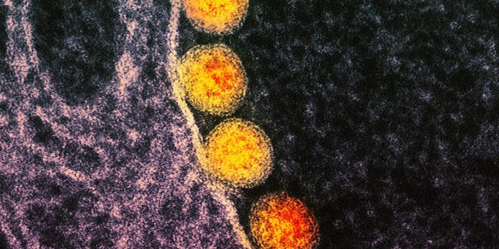 Live, 3D Images are Captured as a Virus Infects a Cell