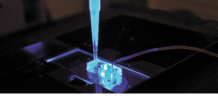 Heart on a Chip Instead of a Sleeve?