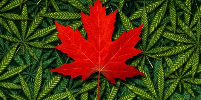 Pivot Pharma to Acquire Agro-Biotech for Full Spectrum Medical Cannabis Organization in Canada