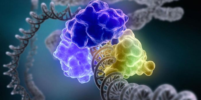 Revealing an Unexpected Role for RNA in DNA Repair