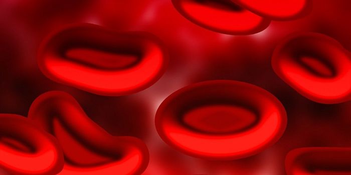 Red Blood Cells: More than just an Oxygen Delivery Service