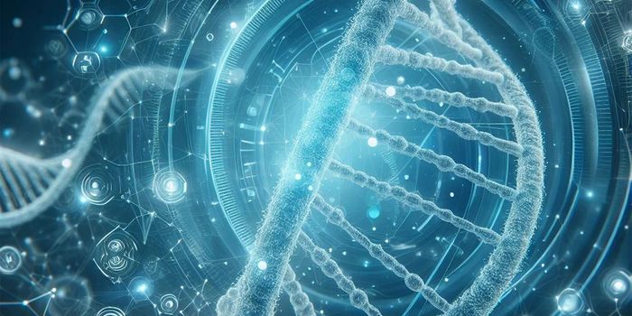 DNA Modification Influences Cell Development and Improves Immune Response to Cancer