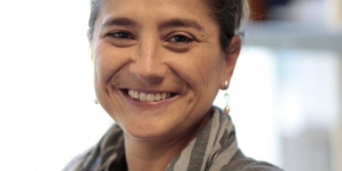 Aging & Injury Yield Unique Responses From Muscle Stem Cells