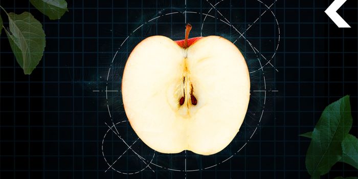 How the World's Best Apple Was Made
