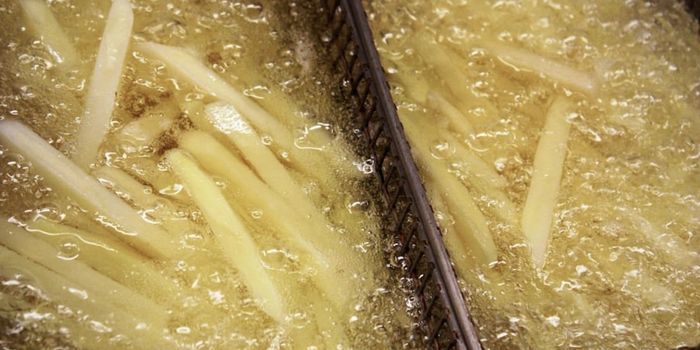 Soybean Oil Found to Change Gene Expression in the Brain