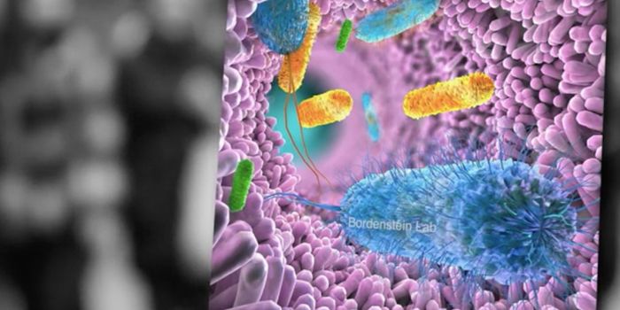 Gut Microbiomes Vary Among Ethnicities