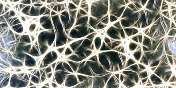 These Tiny Wires Deliver Drugs Directly to the Brain