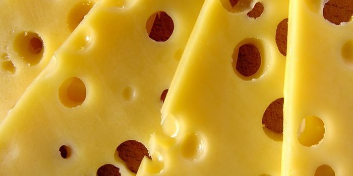 Cheese and Other Dairy May Impact Sleep