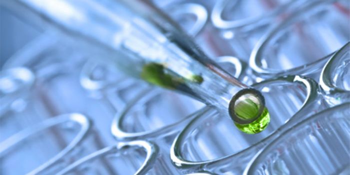 More Challenges in Immunotherapeutic Developments