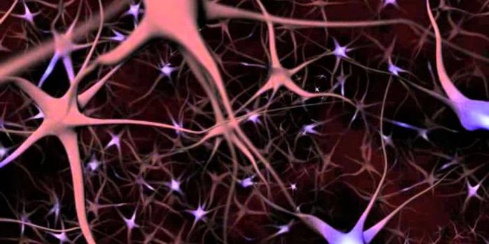 How Neurons Work Made Simple