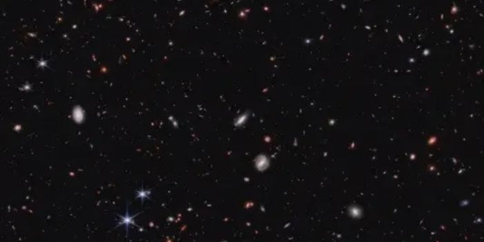 Large, Bright Early Galaxies: A Win for Modified Gravity Over Dark Matter