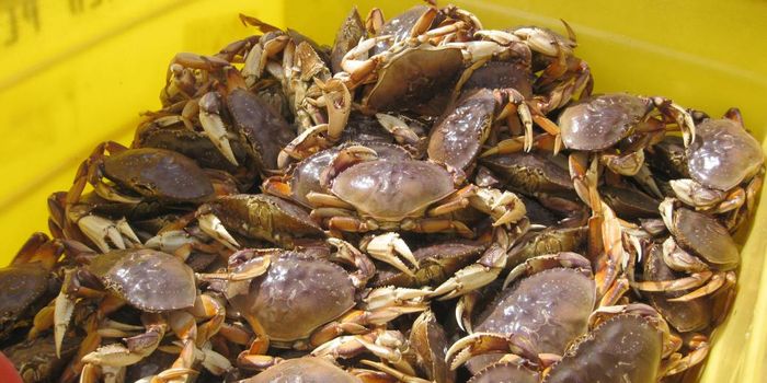 Fishermen unite to sue big oil