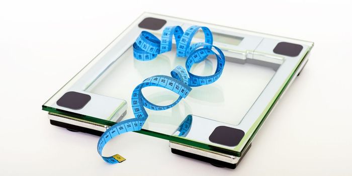 New Weight Loss Drug Converts Energy-Storing Fat into Energy-Burning Fat
