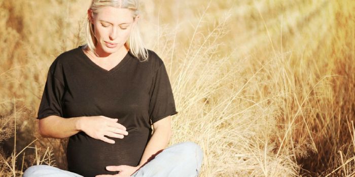 Vitamin B3 Could Prevent Birth Defects, Miscarriages